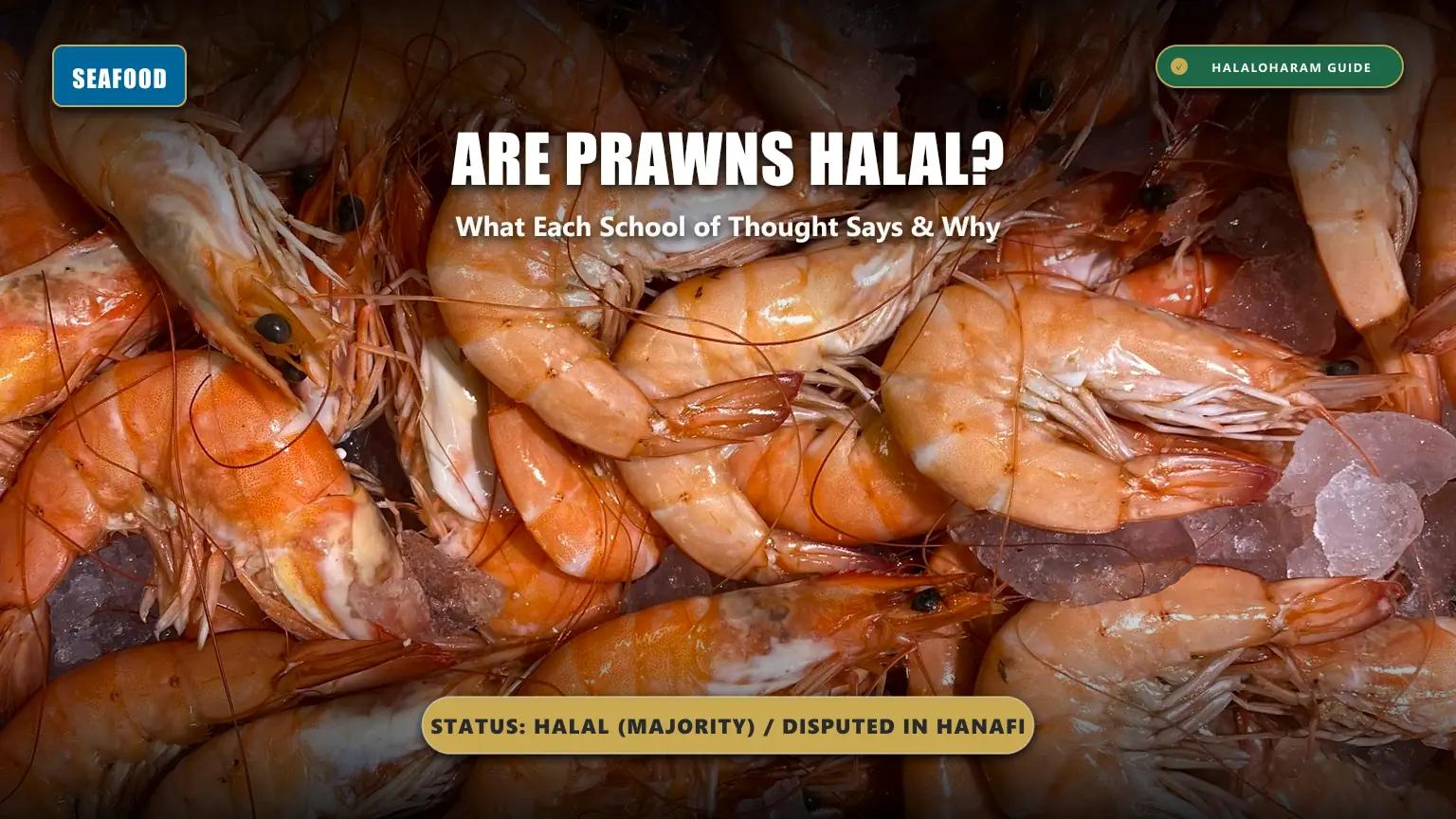 are prawns halal: prawns halal in Hanafi Shafi - Four schools rulings on prawns and samak status