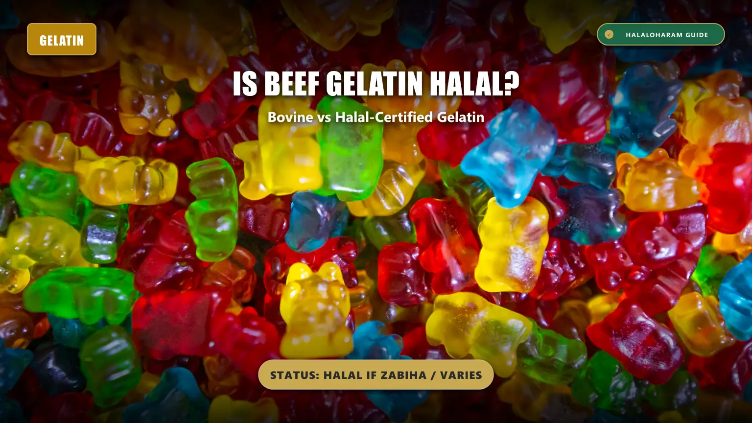 is beef gelatin halal: bovine gelatin halal or haram - Slaughter requirements and certification guide