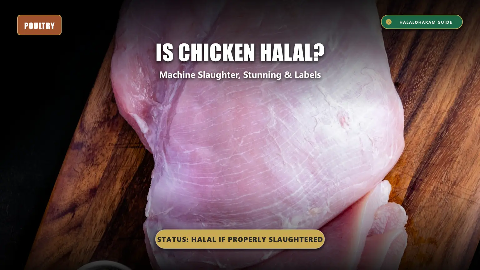 is chicken halal: machine slaughter chicken halal - Hand slaughter vs stunning guidelines for Muslims