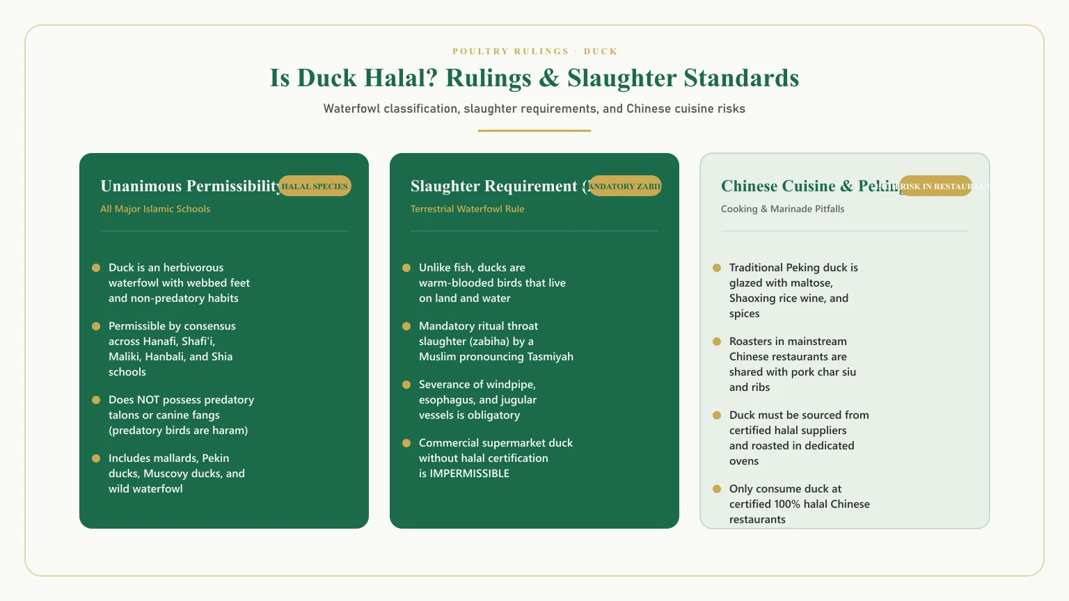 Is duck halal: Is duck meat halal and can muslims eat duck Islamic jurisprudence matrix