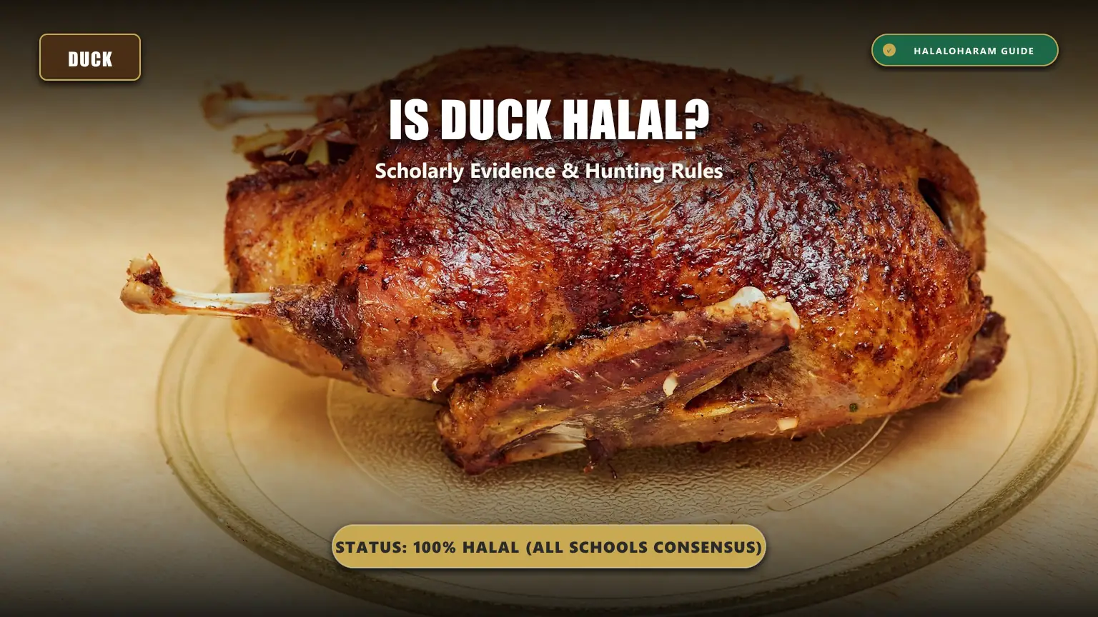 is duck halal: is duck halal in islam - Four schools consensus, hunting laws, and restaurant verification