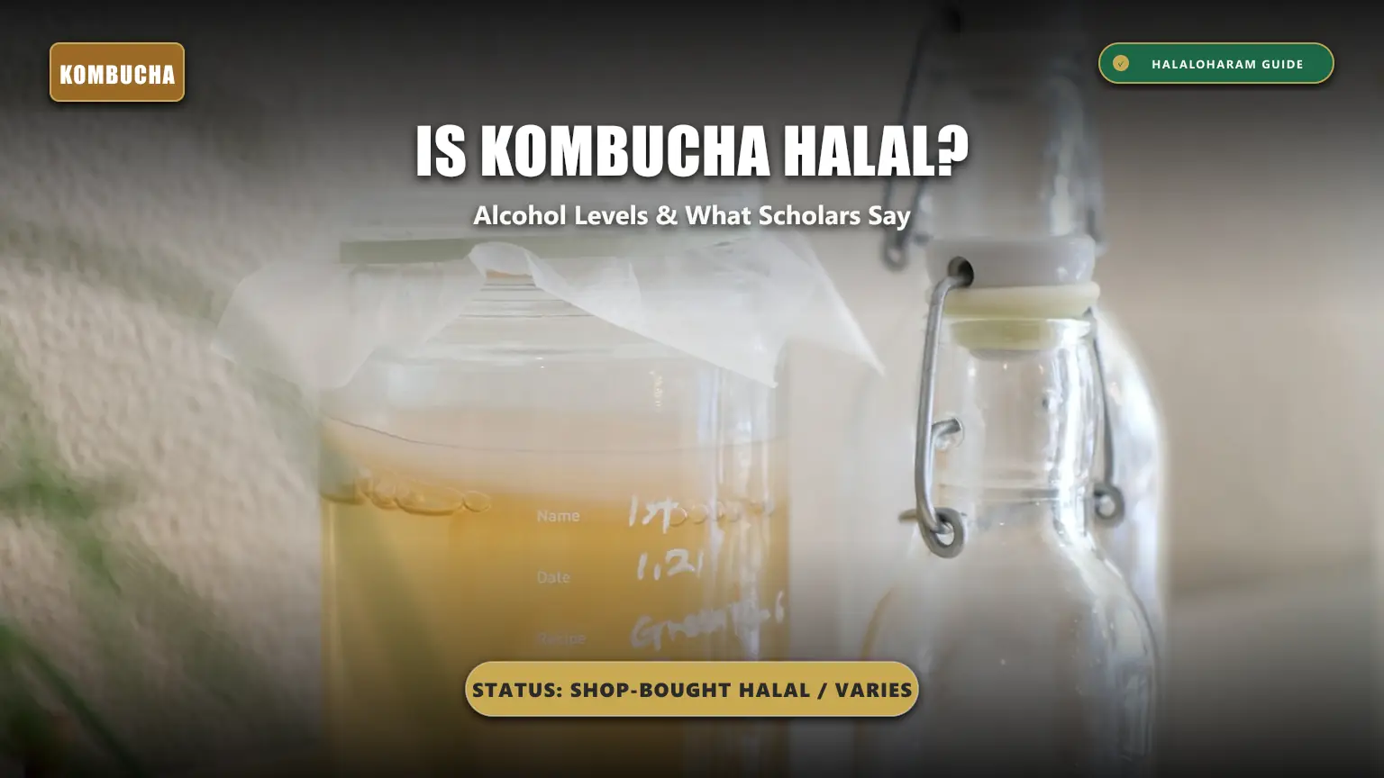 is kombucha halal: kombucha alcohol content halal - Fermented tea and intoxication ruling guide