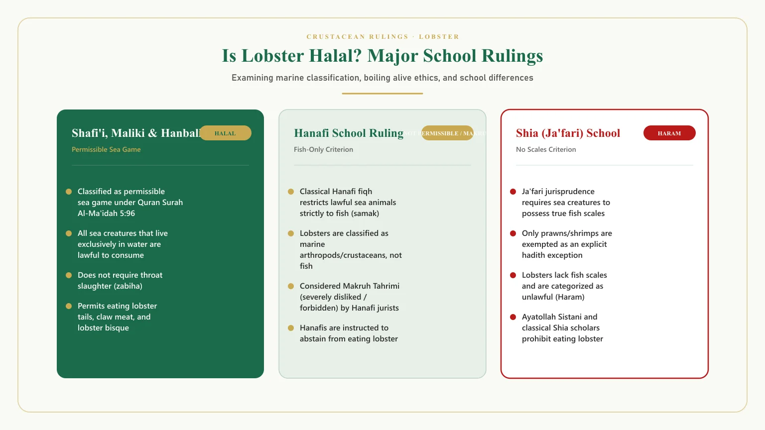 Is lobster halal: Is lobster halal hanafi and can muslims eat lobster fiqh school comparison