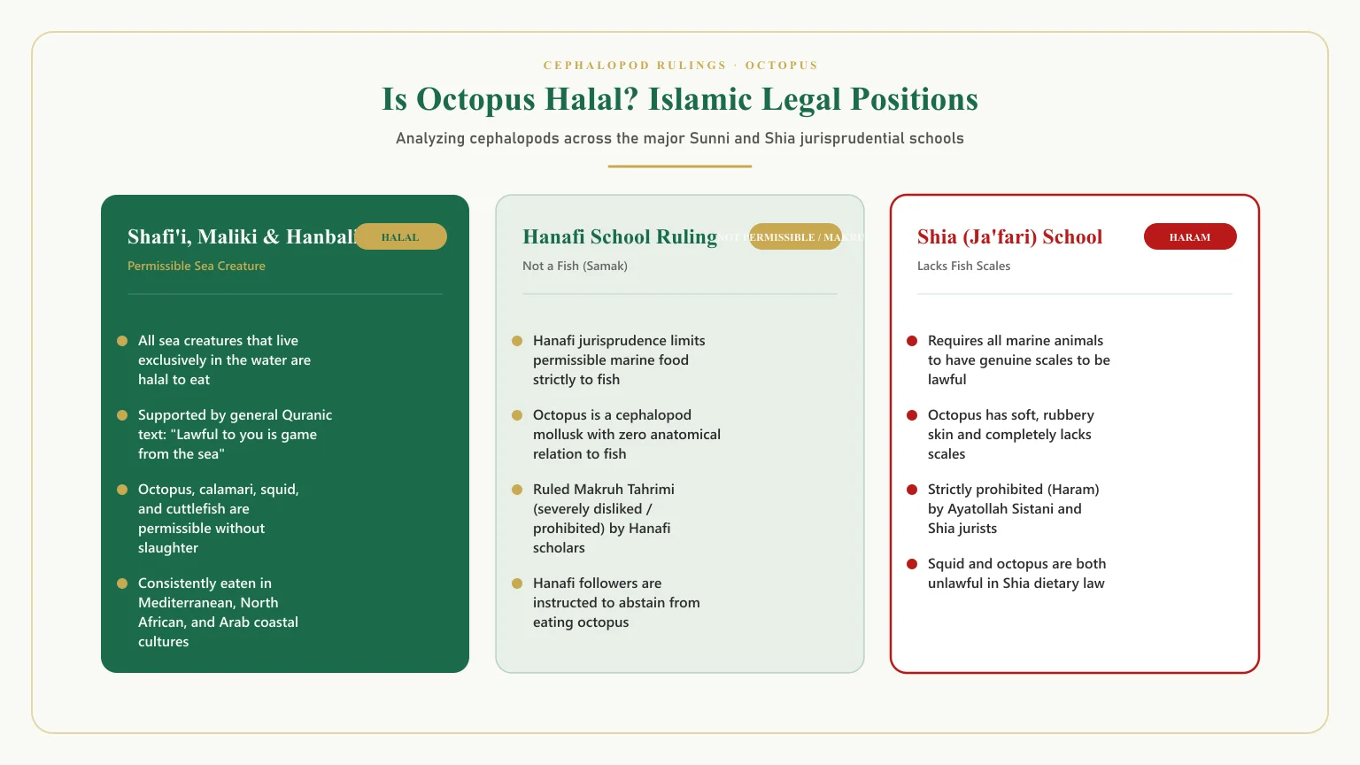 Is octopus halal: Is octopus halal hanafi and can muslims eat octopus madhhab comparison