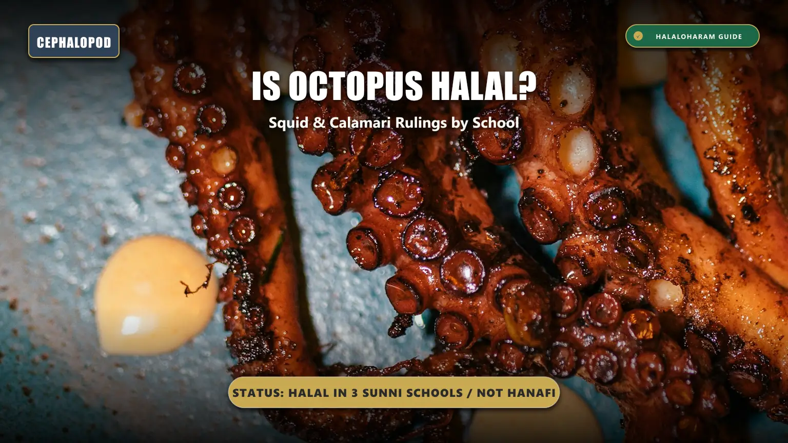 is octopus halal: is calamari squid halal - Hanafi vs majority rulings on sea creatures