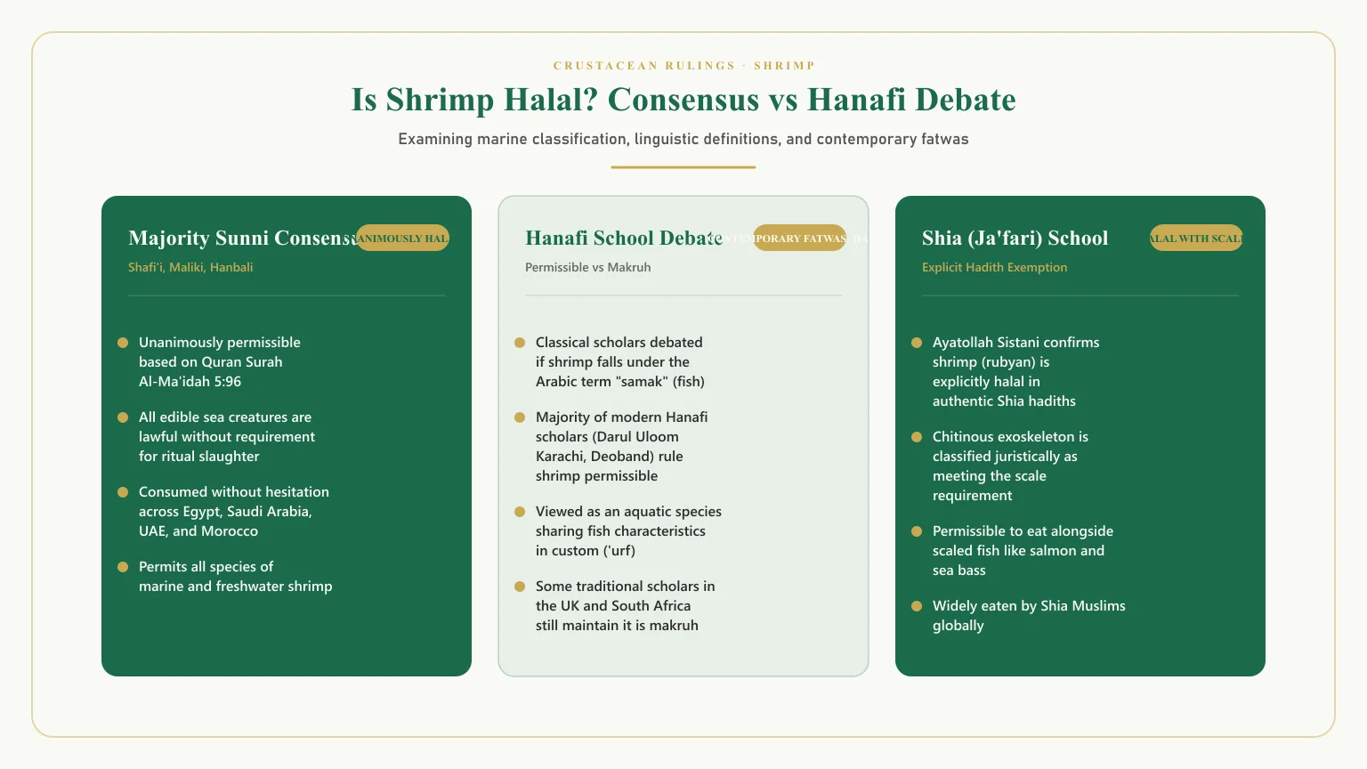 Is shrimp halal: Is shrimp halal hanafi and can muslims eat shrimp scholarly rulings comparison