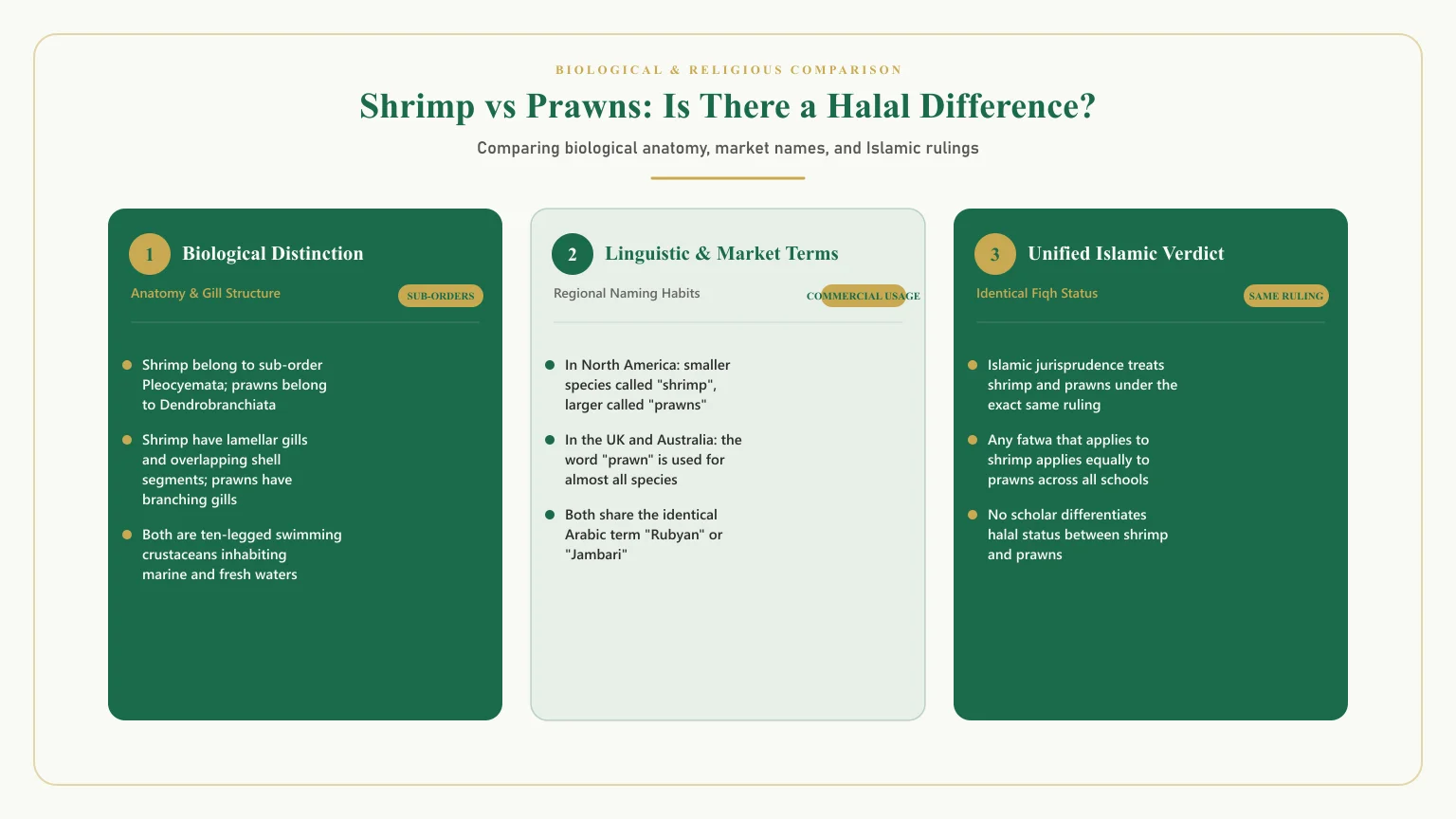 Is shrimp halal: Difference between shrimp and prawns halal and biological classification