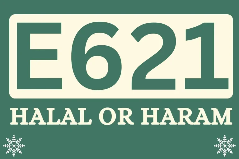 E621 Halal Or Haram? A complete Guide