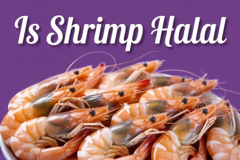 Is Shrimp Halal? Understanding Its Permissibility in Islam 3 Is Shrimp Halal