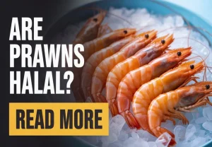 Are Prawns Halal