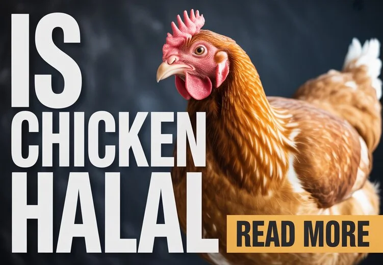 Is Chicken Halal? A Complete Guide on Standards, Process, and Health 1 Is Chicken Halal