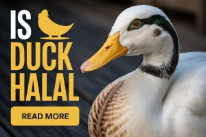Is Duck Halal