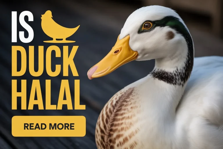 Is Duck Halal? Essential Islamic Dietary Guidelines Explained 1 Is Duck Halal