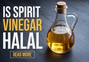 Is Spirit Vinegar Halal